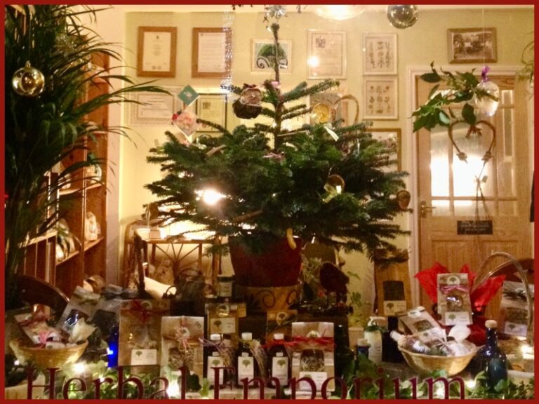 Roots to Health at Christmas